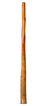 Tristan O'Meara Didgeridoo (TM296)